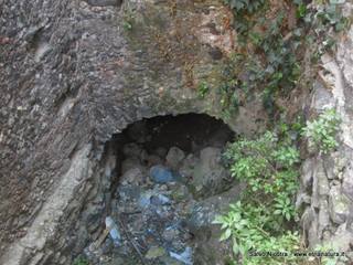 nastero Benedettini-16-03-2014 12-25-07